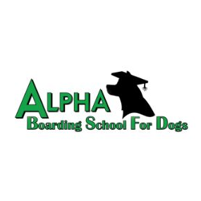 Alpha Boarding School For Dogs