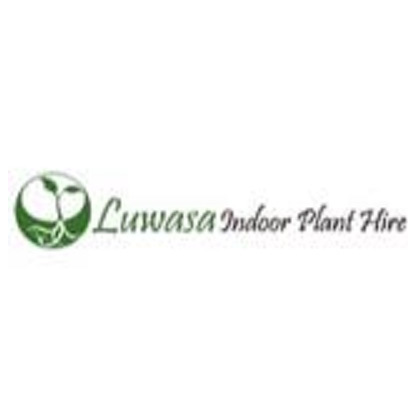 Luwasa Indoor Plant Hire