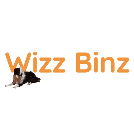 Wizz Binz