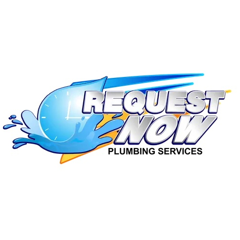 Request Now Plumbing Services