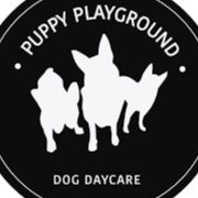 Puppy Play Ground