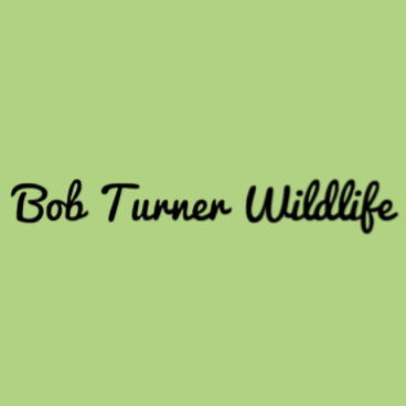 Bob Turner Wildlife