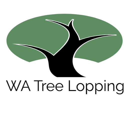 WA Tree Lopping Service