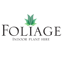 Foliage Indoor Plant Hire