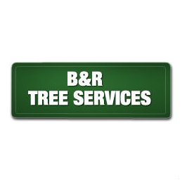 B & R Tree Services