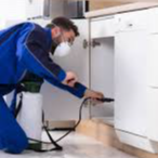 Get same day pest control services in Melbourne