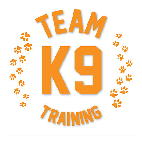 Team K9 Training
