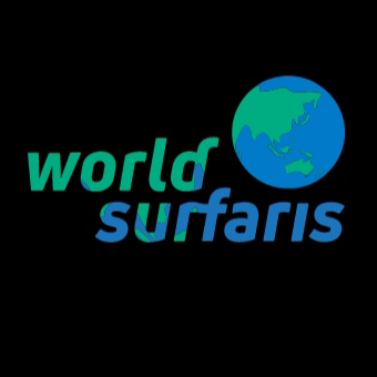 World Surfaris Kirra Surf