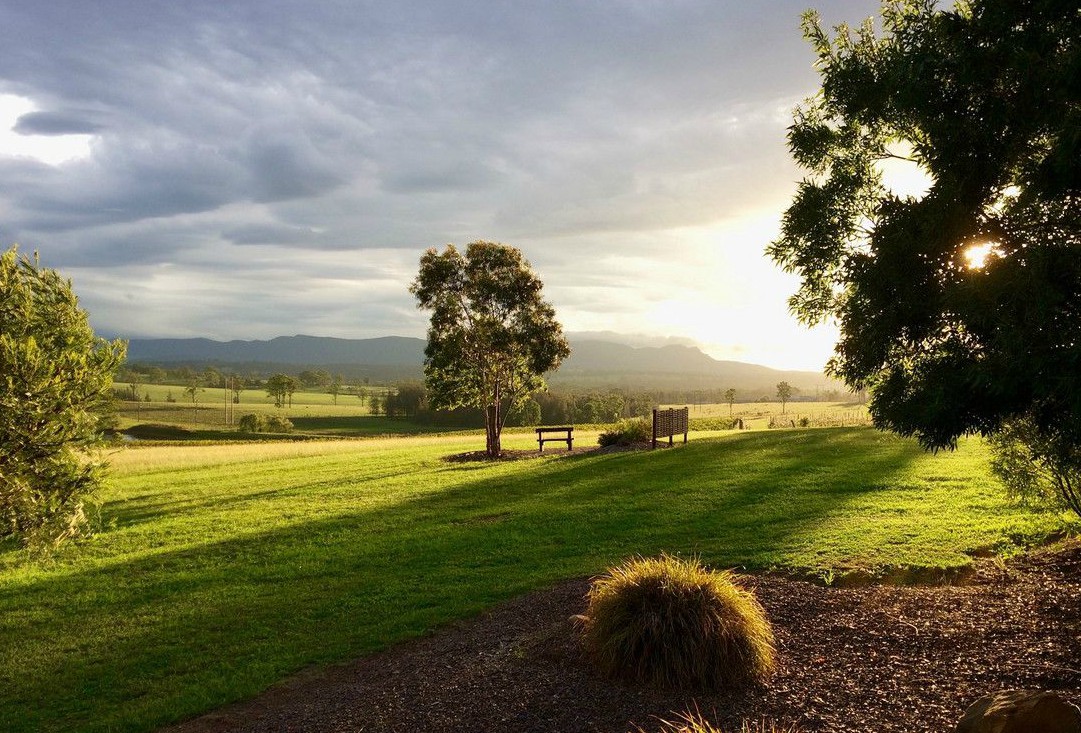 lovedale road new south wales