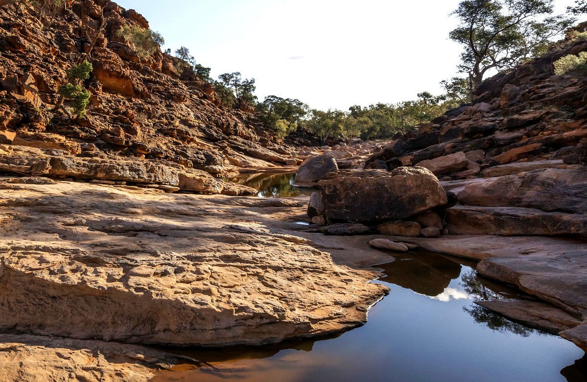 mutawintji national park nsw